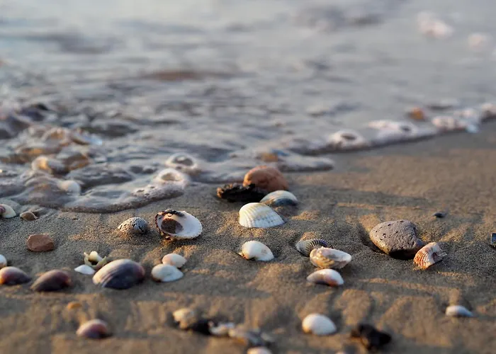 Appartamento Bright With Sea View Bibione